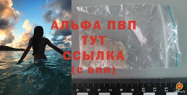 спиды Абаза