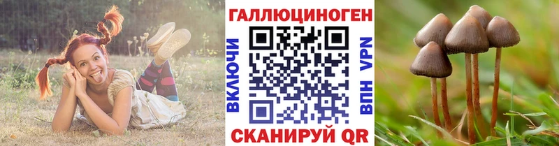 Псилоцибиновые грибы мицелий  OMG tor  Краснозаводск 